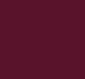 Rote Beete Pulver 100 g